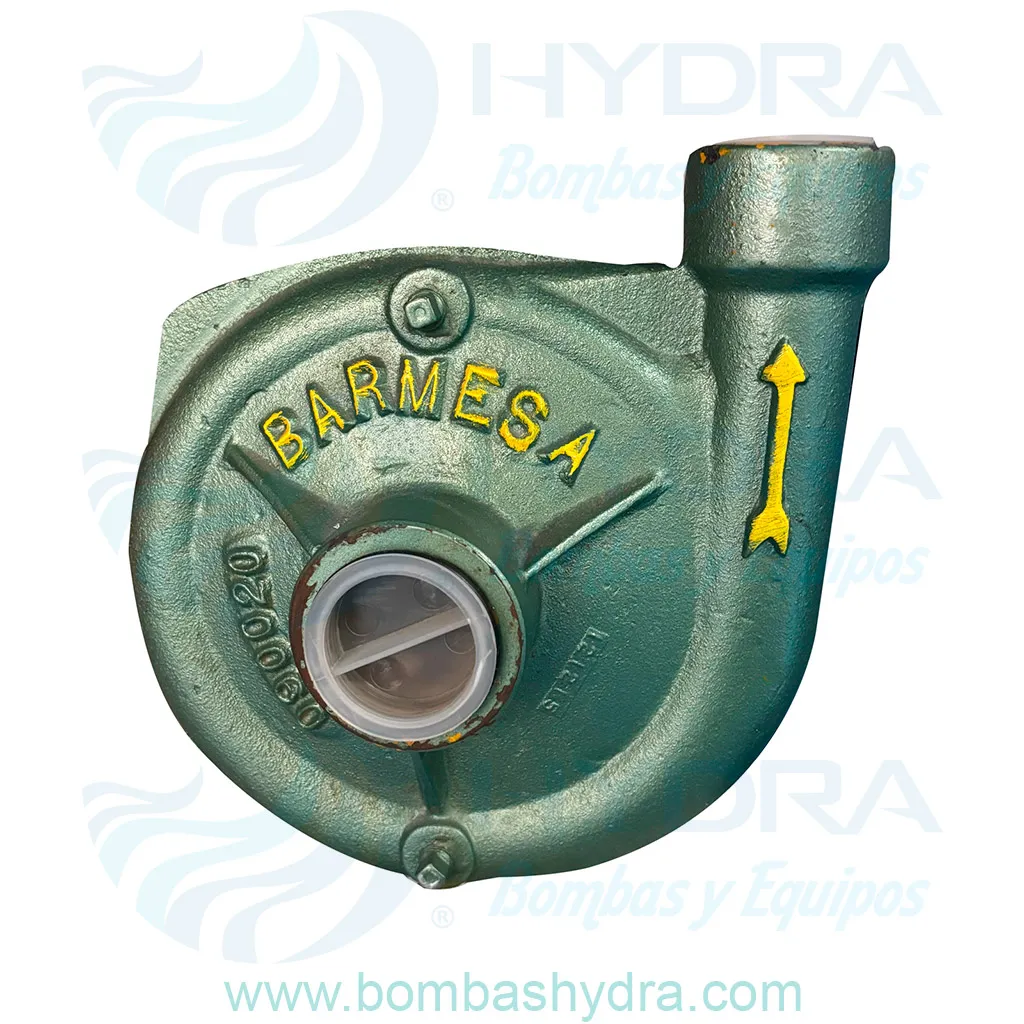 BOMBA CENTRIFUGA BARNES 0.5HP 1F VISTA FRONTAL