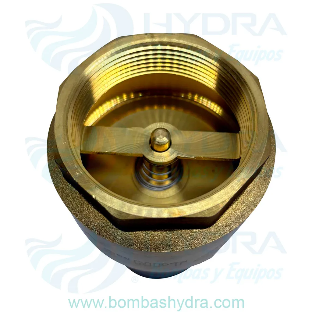 Valvula Pie Check Canastilla Desmontable Bronce Aquapak 2 CONEXION
