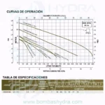 BOMBA SUMERGIBLE PACHIQUE SIGMA 54A 16HP 1DESC